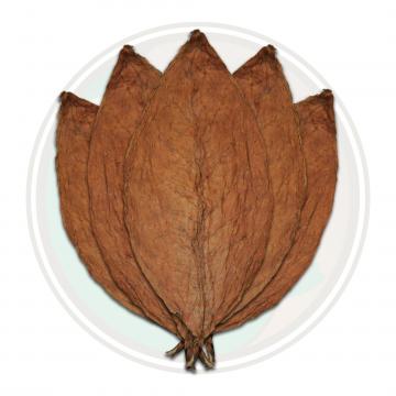 Honduran Conerico Seco Cigar Wrapper Whole Tobacco Leaf